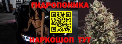 apvp Старая Купавна