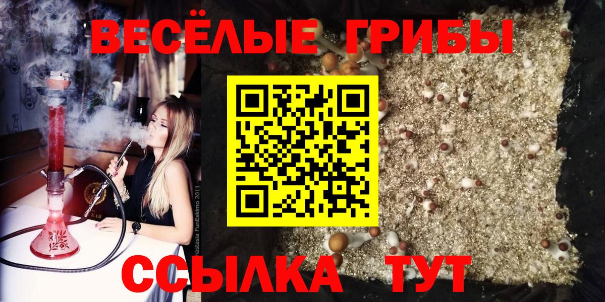 что такое наркотик  Галлюциногенные грибы GOLDEN TEACHER  Вход с VPN  Октябрьский  Галлюциногенные грибы Cubensis 