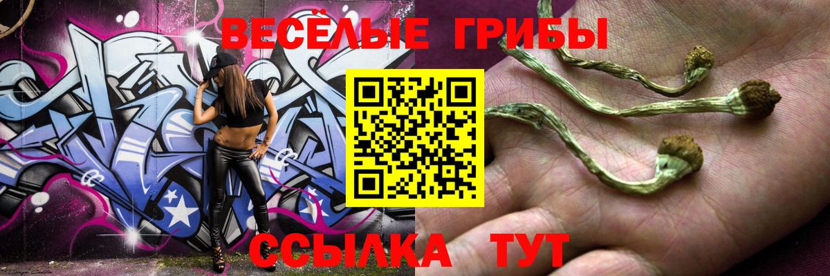 Псилоцибиновые грибы MAGIC MUSHROOMS Октябрьский